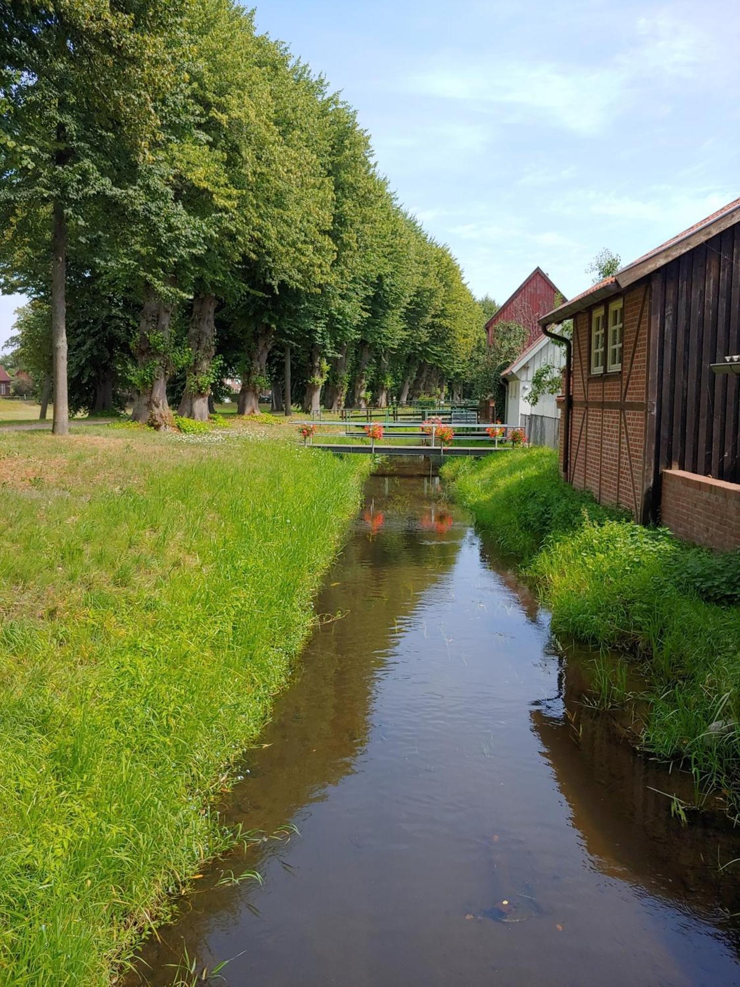 Ferienhaus "Kleinod" บอยเซนบวร์ก ภายนอก รูปภาพ